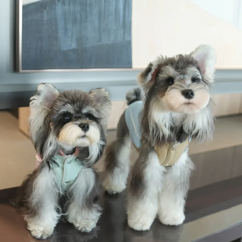 Chaleco cálido para perros para otoño e invierno, chaqueta gruesa a prueba de viento para perros, ropa para mascotas para perros pequeños y medianos, abrigo de lana para perros para clima frío - imagen 4