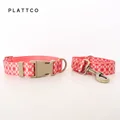 Dog Collar Leash Set
