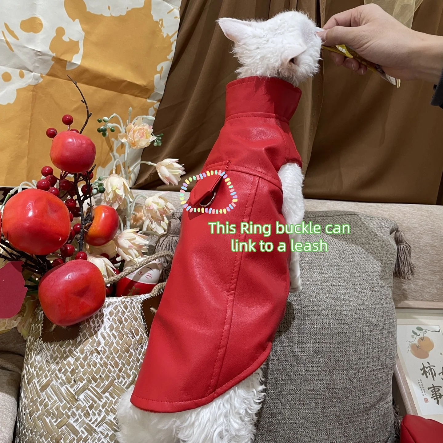 Chaqueta de invierno de cuero PU para gatos Sphynx y Devon Rex - imagen 4