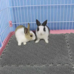 Almohadilla calefactora de espuma EVA para mascotas, diseño empalable, estera para dormir suave para conejillo de indias, hámster, conejo, manta, cama, accesorios para suelo de mascotas