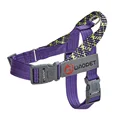 harness 5