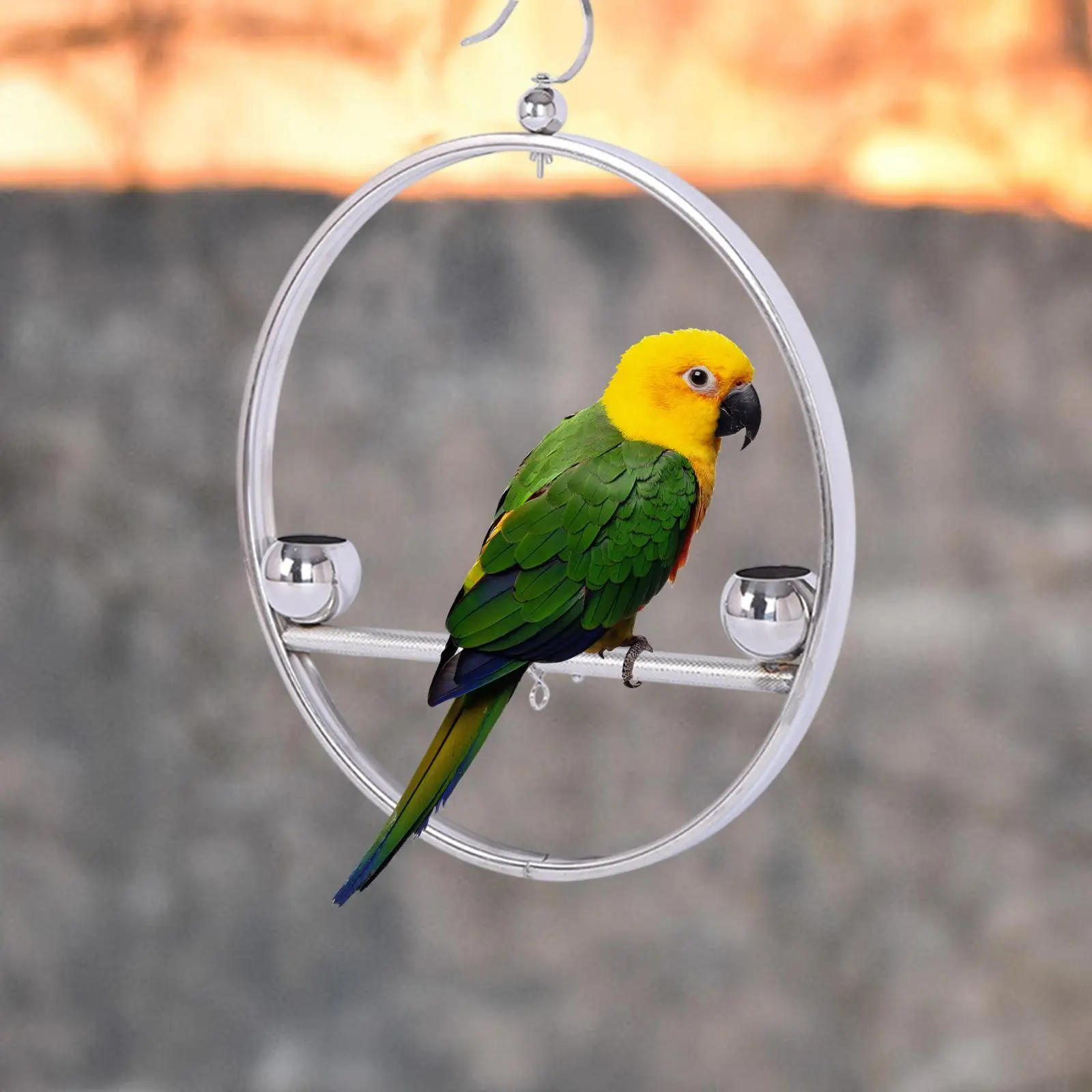 Parrot Playstand Activity Toy Rack Bird Stand for Budgie Canaries Finches Parrot Playstand Activity Toy Rack Bird Stand for Budgie Canaries Finches