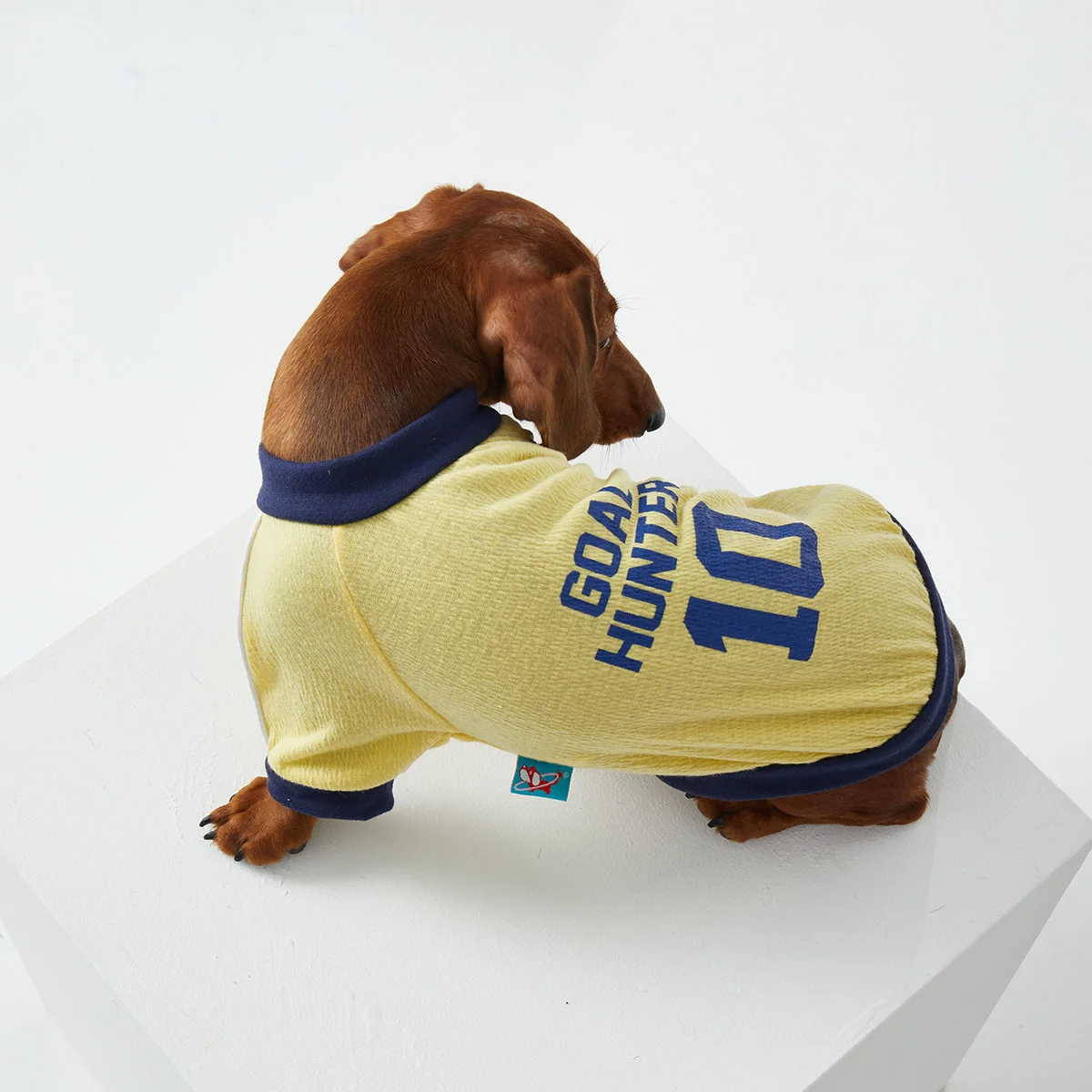 Sudadera deportiva cuello alto para perros salchicha, entretiempo - imagen 2