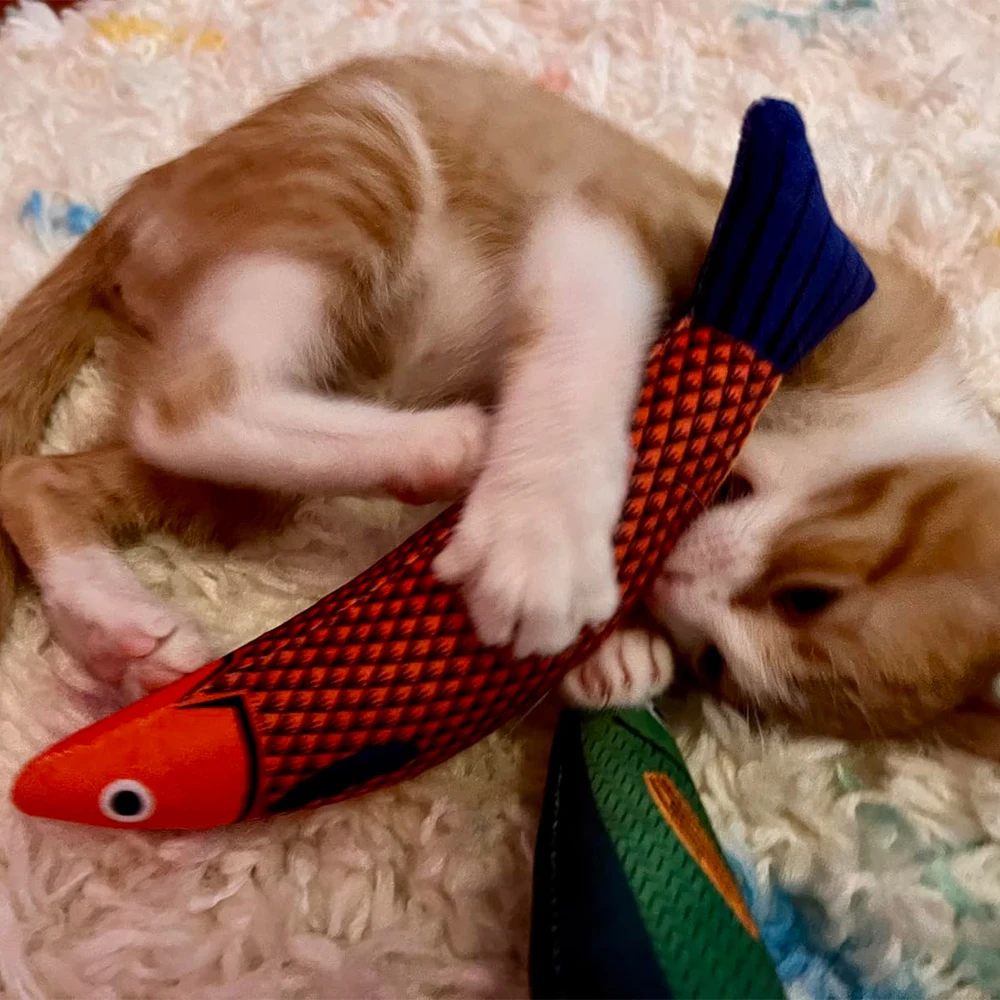 1/2 juguetes para gatos, hierba gatera, mariscos, peces, entretenimiento, Molar, dentición, antimordida, artefacto de diversión para gatos, suministros para mascotas y gatitos