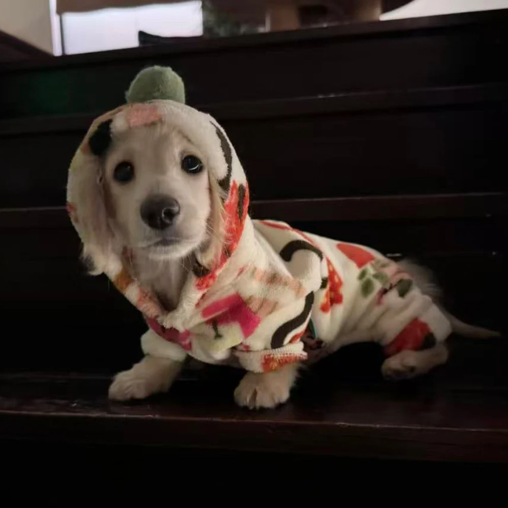 Jersey con capucha para perro Dachshund – Abrigo cálido y suave - imagen 3
