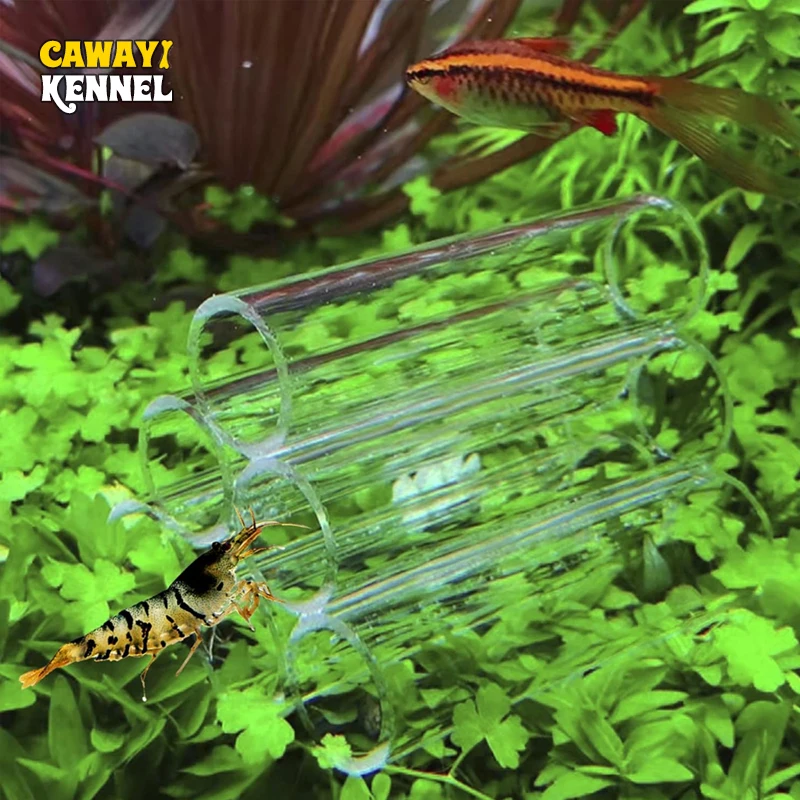 Tubo de cría de peces acrílico transparente, cueva de Acuario, refugio de Camarón, adorno para ocultar pecera, 6/10 piezas por juego - imagen 2