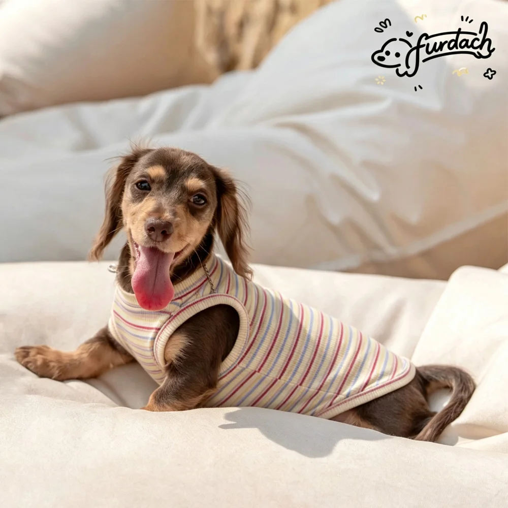 Camiseta arcoíris de algodón para perro salchicha, verano - imagen 4