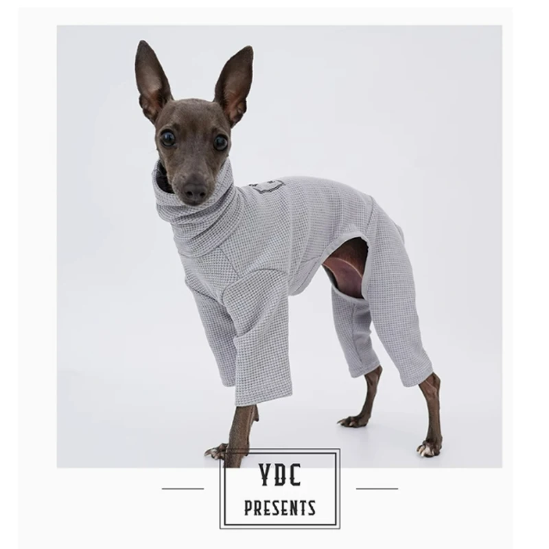 Ropa de cuello alto para mascotas, Aytumn Galgo Italiano, ropa de invierno para perros pequeños, medianos, grandes, Galgo, nueva moda - imagen 2