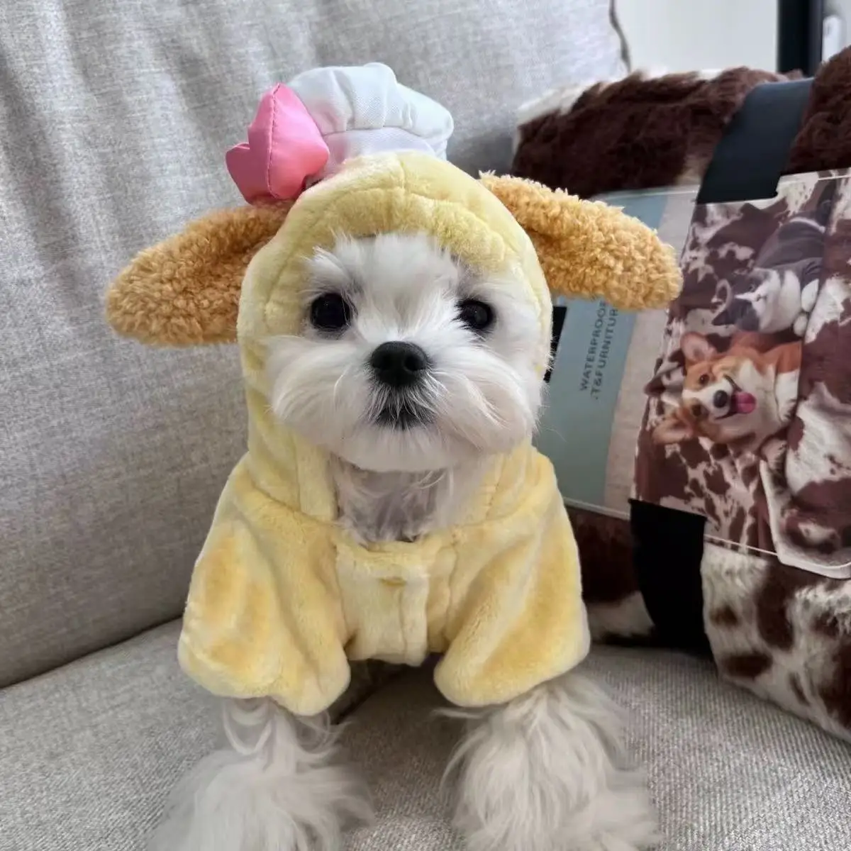 Ropa cálida de otoño/invierno para mascotas, conejo bonito, ropa de cuatro patas, perro pequeño, gato de peluche, Sudadera con capucha, mono, ropa para cachorros, pijamas para perros - imagen 2