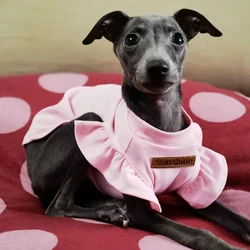 Vestido de algodón manga corta para perros caniche – primavera/verano
