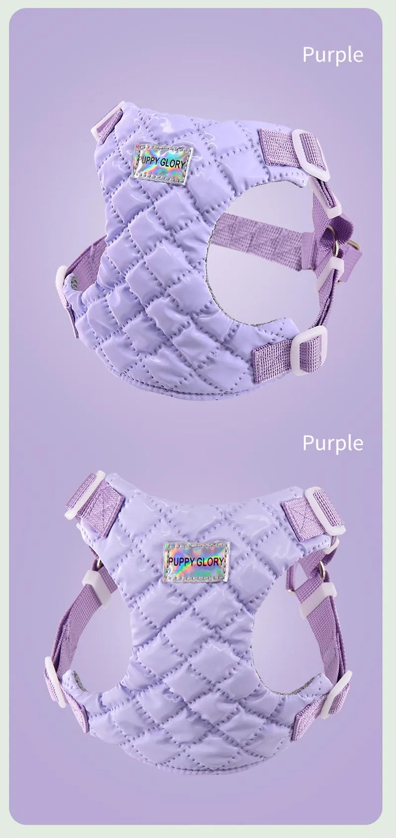 Set completo de accesorios para mascotas