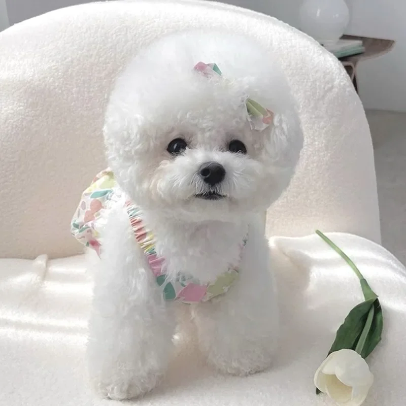 Ropa de encaje de verano para mascotas, vestido de flores de peluche, falda Halter para gato Bichon Frise, falda de princesa bonita de Pomerania para perros pequeños - imagen 4