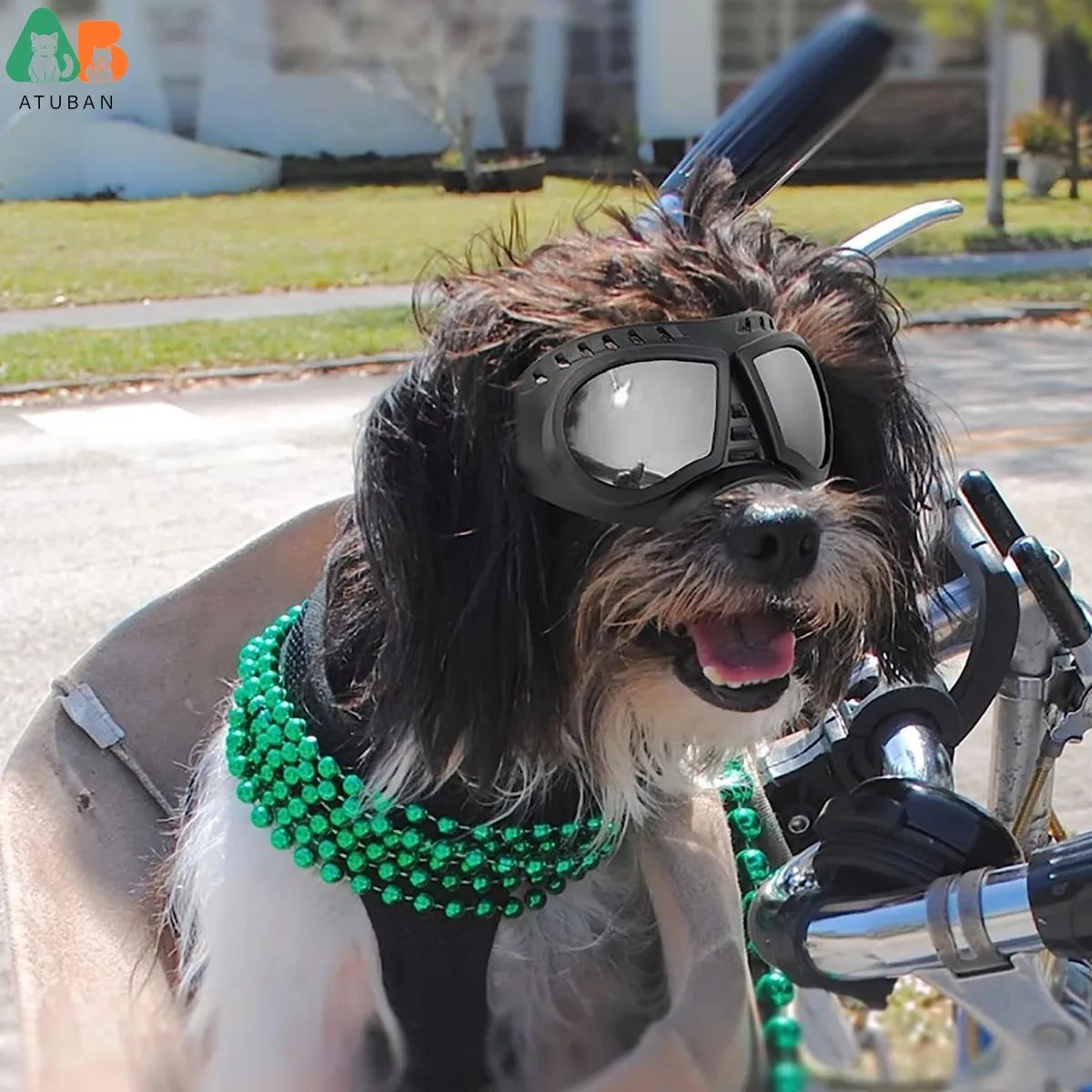 Gafas de sol para perros de raza pequeña, lentes a prueba de viento, UV, nieve, Hocico largo, máscara con marco suave, correas ajustables - imagen 5