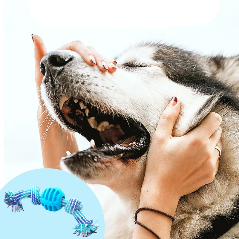 Juguete resistente a las mordeduras para perro, cuerda de algodón con doble nudo, Bola de TPR, regalo para masticar, herramienta de limpieza de dientes para cachorro, suministros para mascotas - imagen 3
