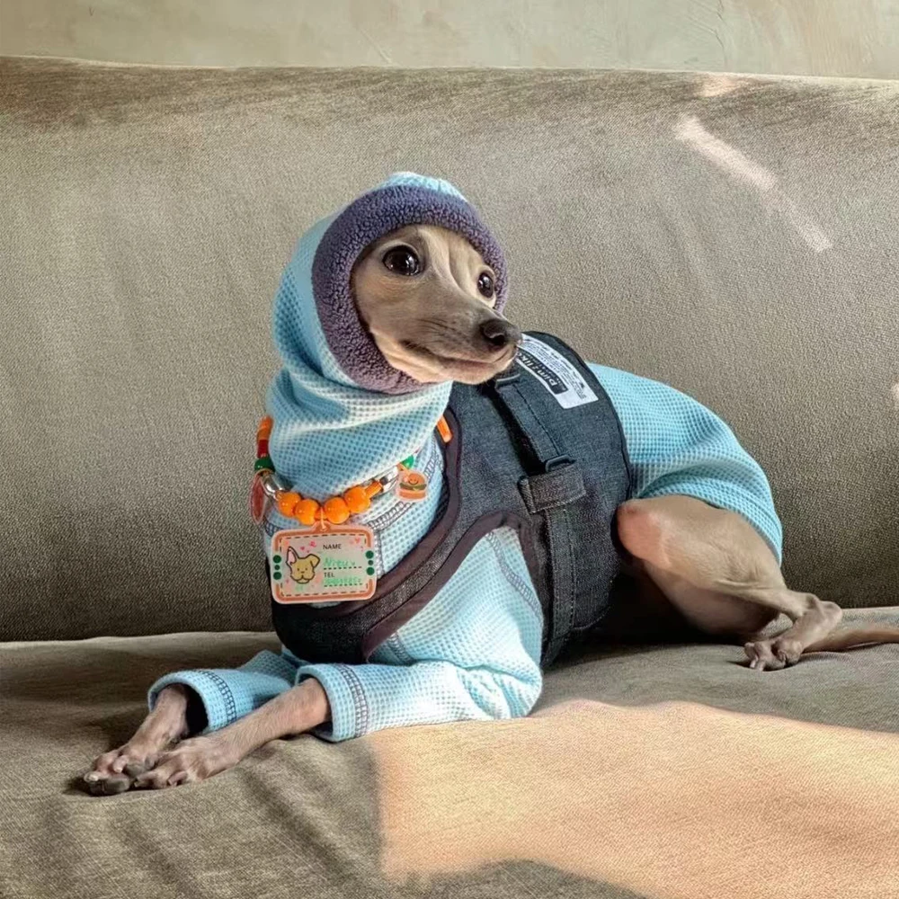 Sudadera de algodón azul hecha a mano para perros Whippet en otoño Abrigo cálido para la cabeza con cuello alto de 2 patas para galgo italiano en primavera - imagen 4