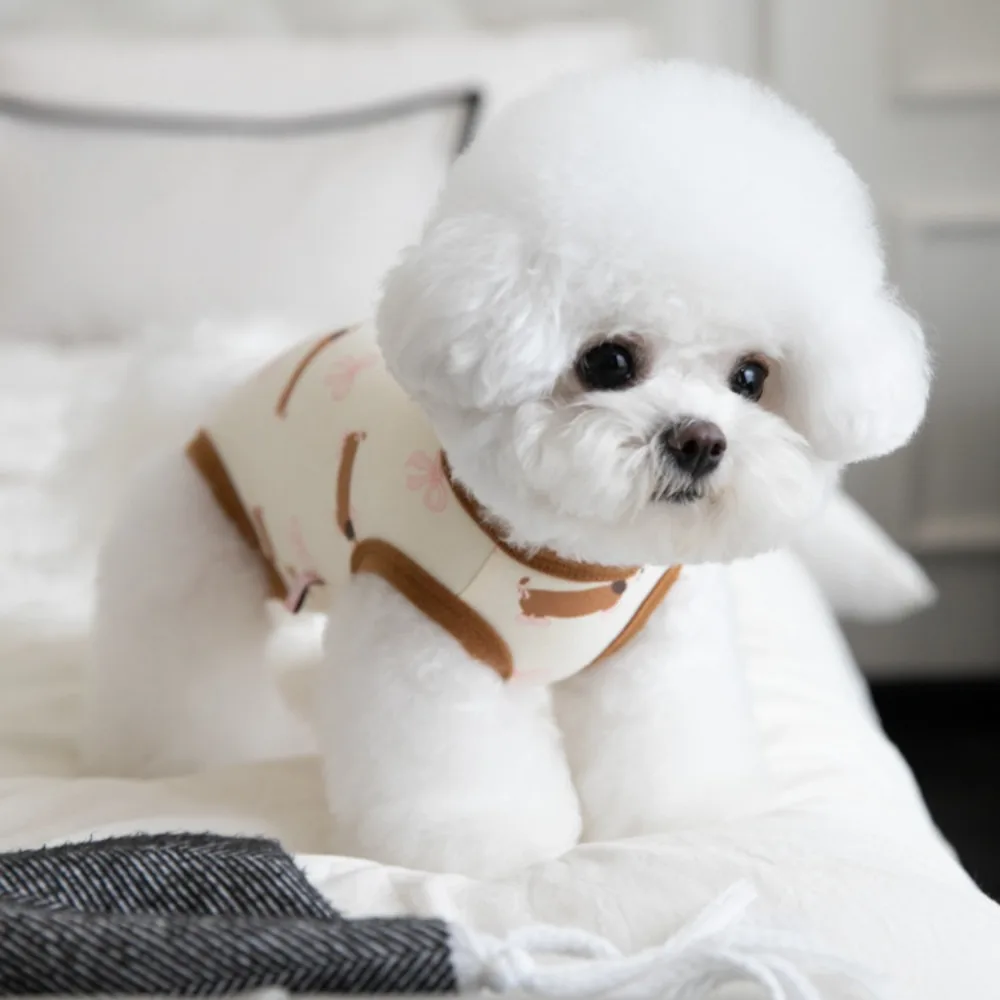 Otoño Invierno protección para mascotas vientre chaleco de cuatro patas pijamas para perros ropa de casa para mascotas oso de peluche ropa sin mangas ropa para cachorros - imagen 3