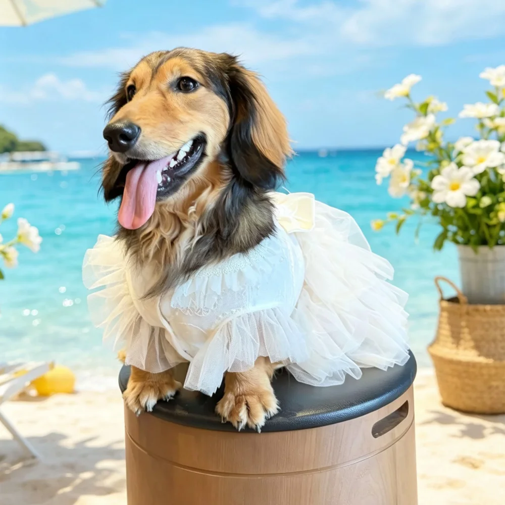 Vestido de verano para perro salchicha con encaje y lazo princesa
