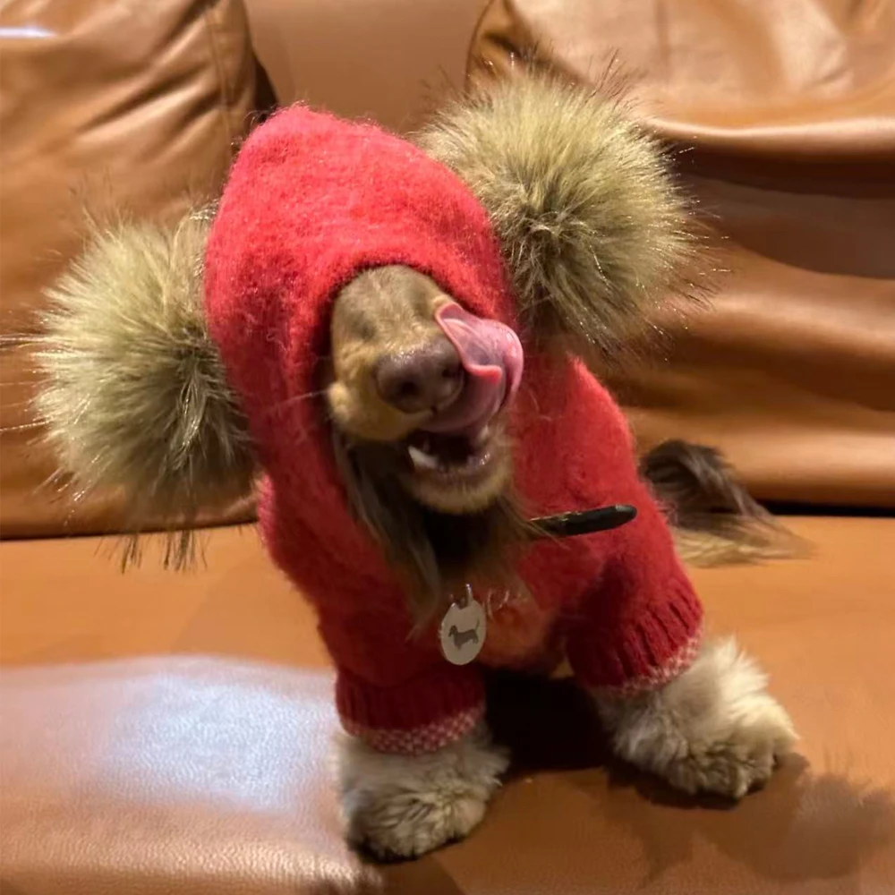 Suéter con capucha y peluche para perros dachshund-abrigo rojo cálido - imagen 2