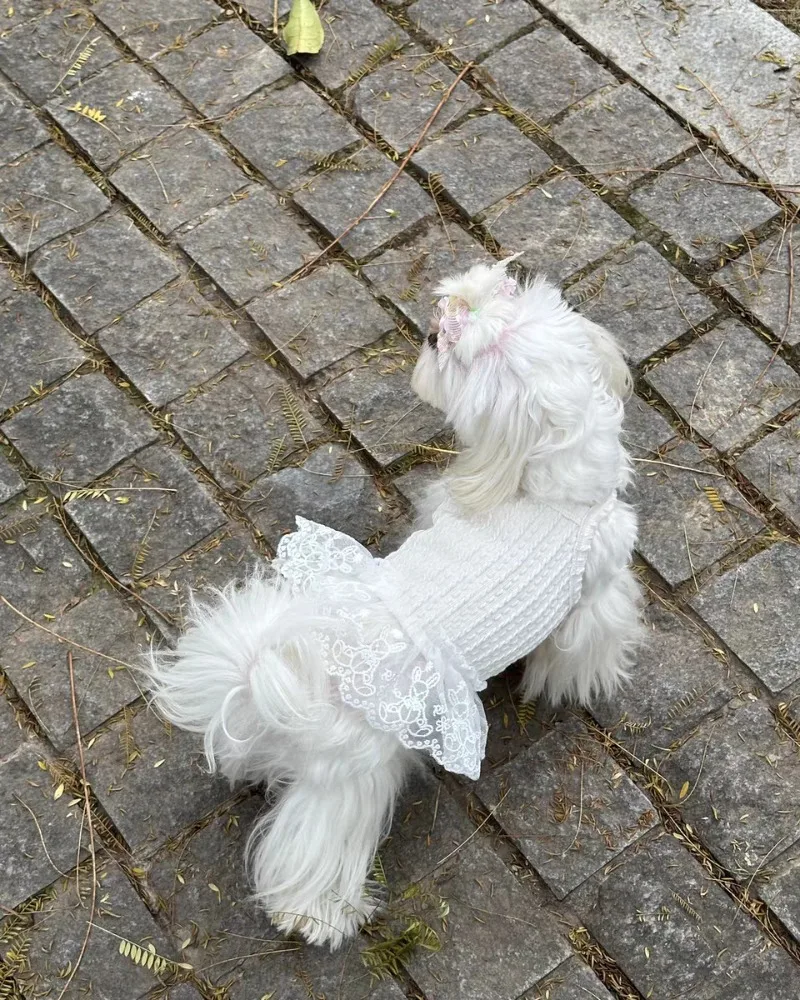 hmqViviiyNSAyin9WuaQt/klEkOtbZmw2DT0