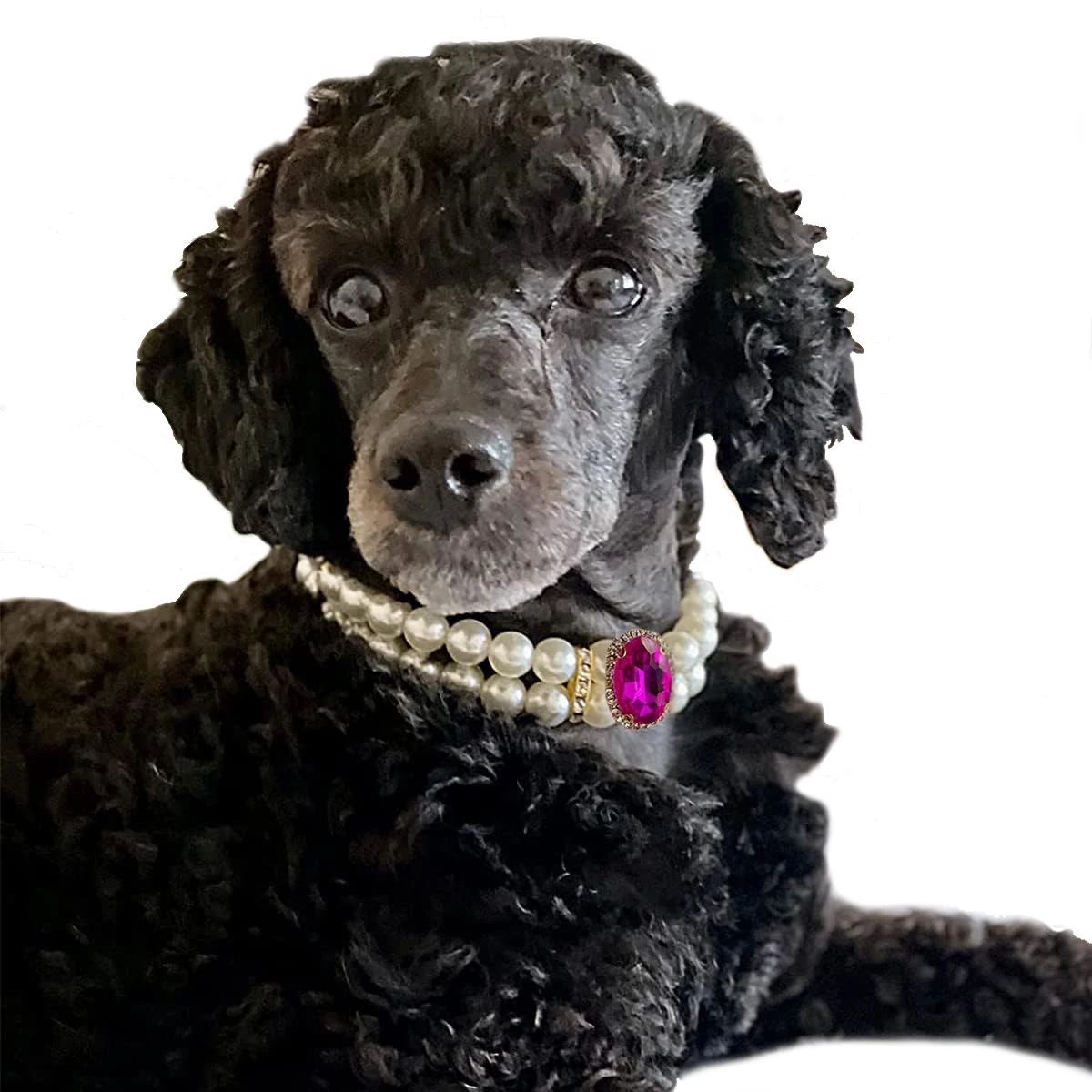 Collar de perlas para perro, collares de lujo con diamantes de imitación ostentosos, Collar de boda, joyería de cristal para perros, ropa para gatos, disfraz, accesorios para mascotas - imagen 2