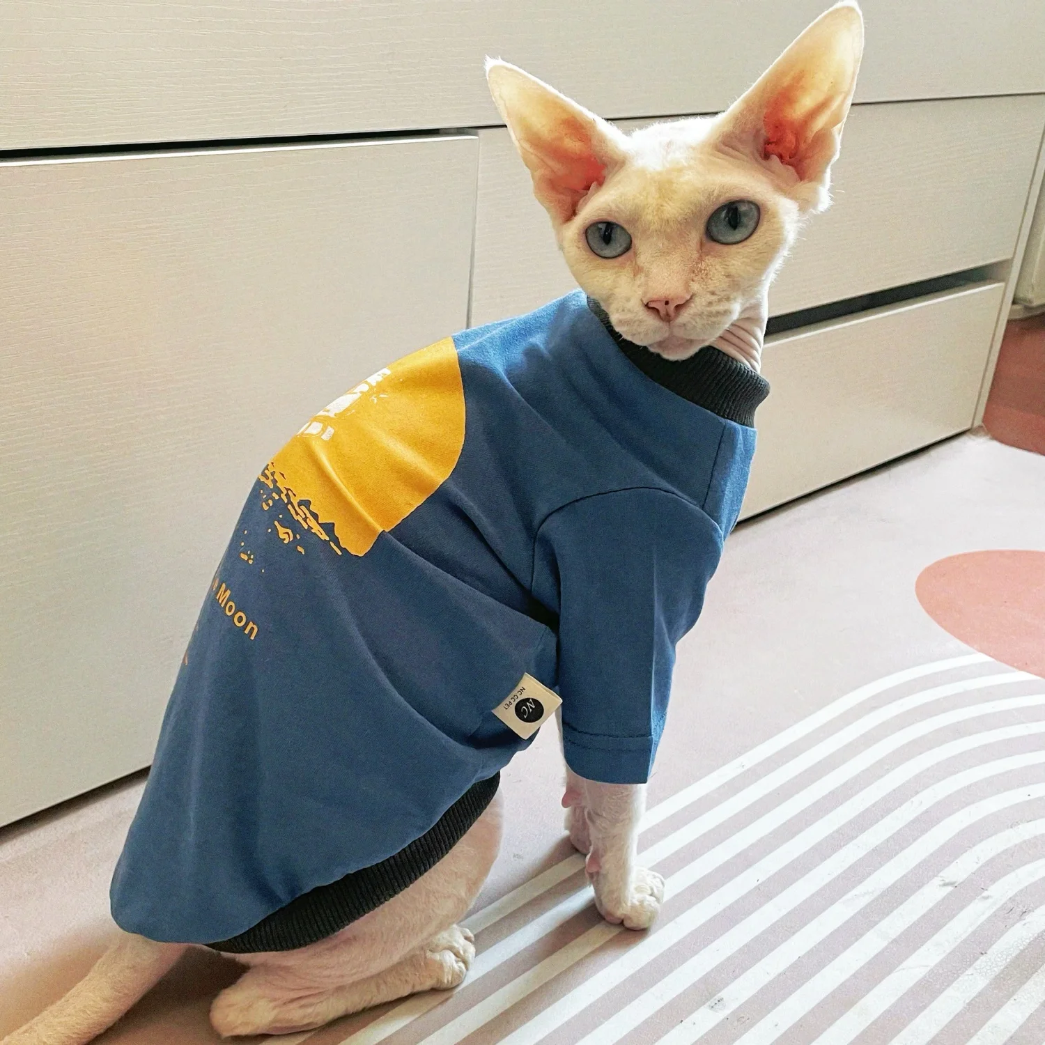 Camisetas deportivas de moda para el gato Sphynx en primavera Abrigo de manga larga para perros pequeños Mono de dibujos animados suave de verano para gatos machos Chaqueta hermosa para galgo italiano - imagen 4