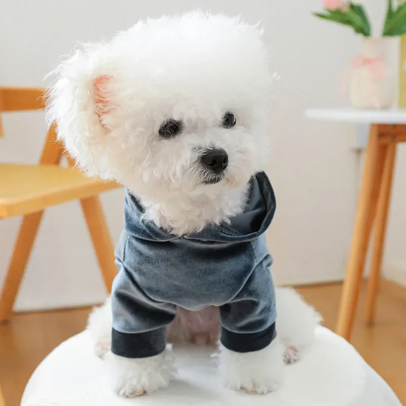 Sudaderas con capucha de terciopelo a la moda para perro, ropa para mascotas rosa, gris y azul para perros pequeños, trajes para perros Pomerania, chaqueta para cachorros - imagen 3