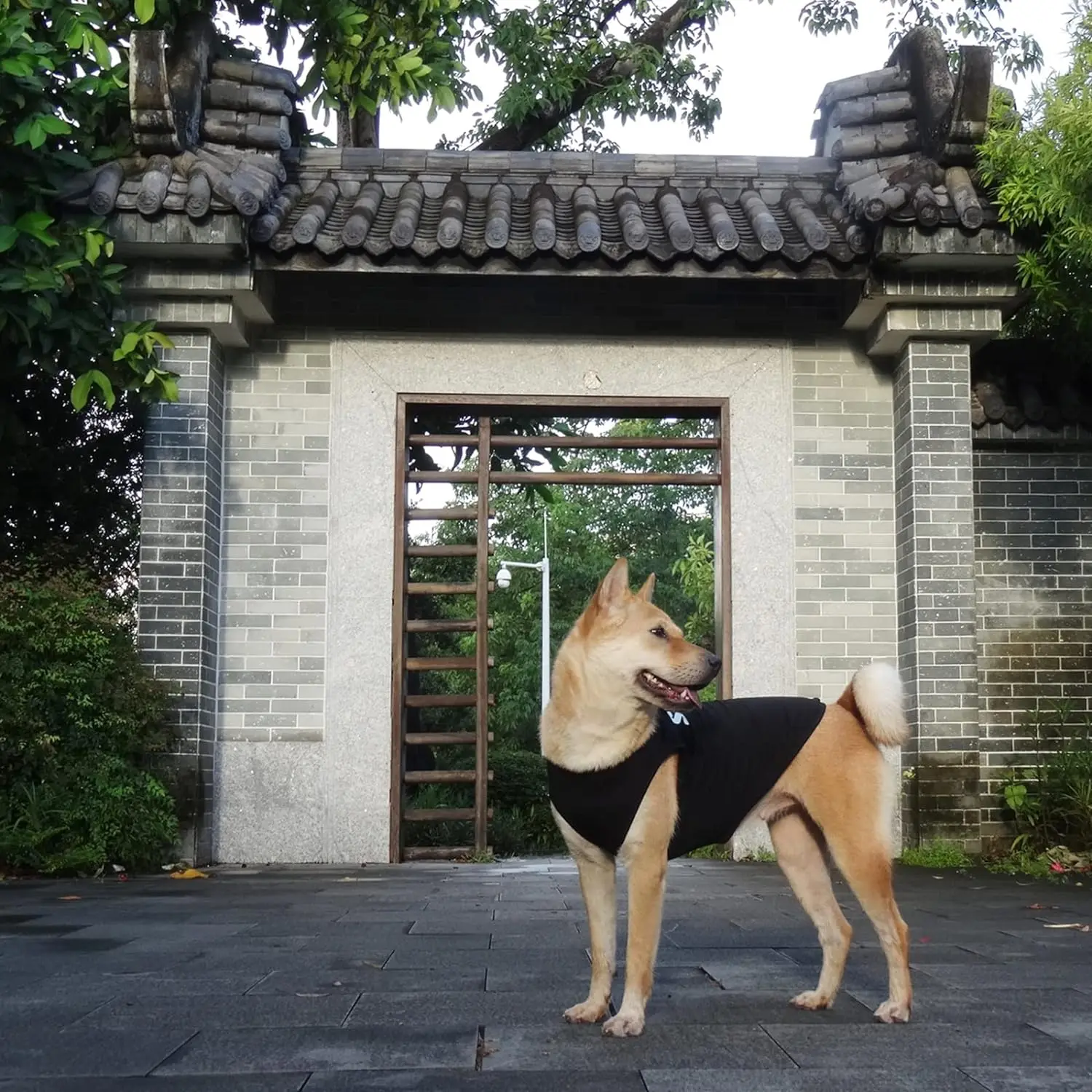 Camisa de seguridad para perros, disfraz de guardia para cachorros, Camiseta de algodón, ropa de verano para perros grandes, medianos y pequeños, pastor alemán - imagen 4
