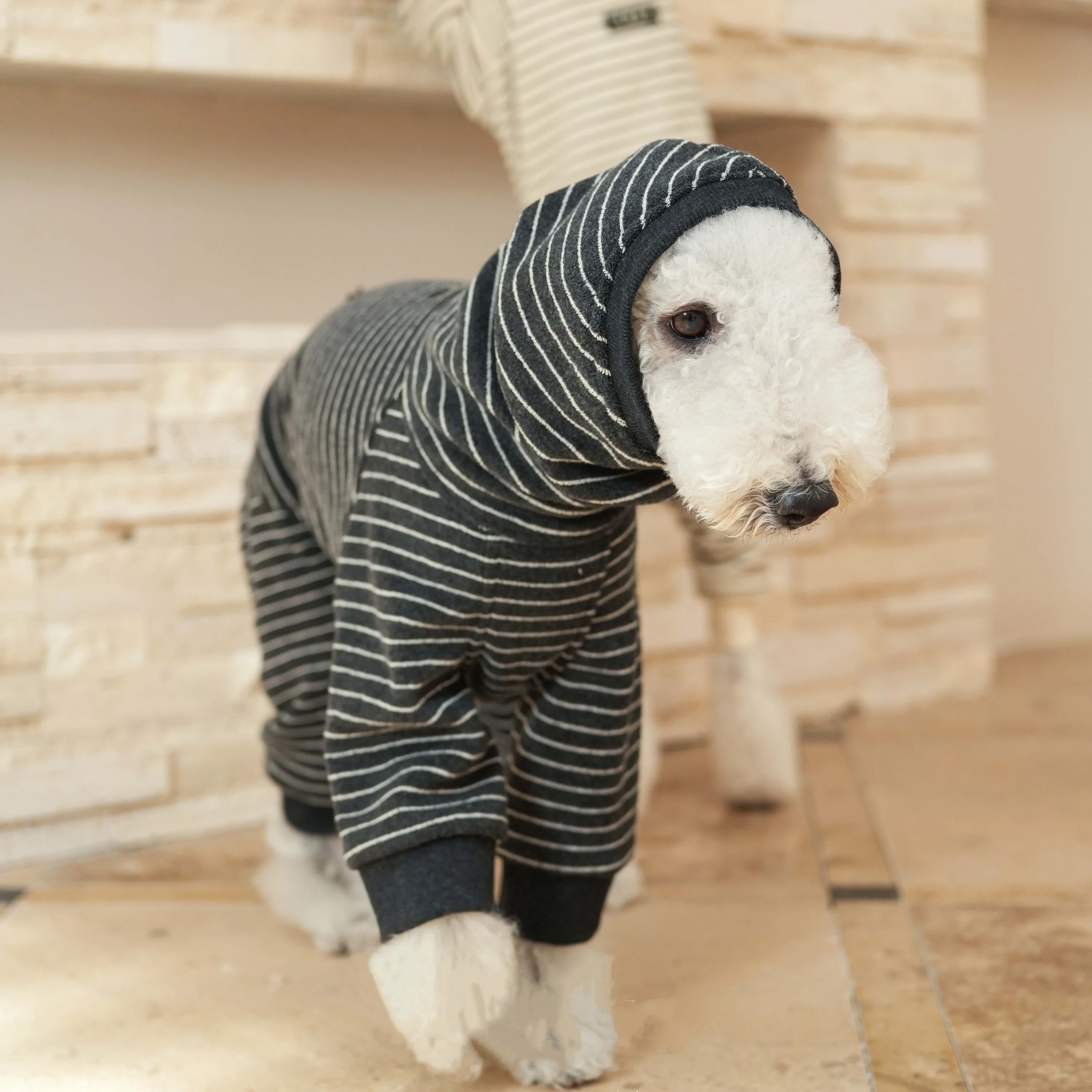 Camiseta de forro polar a rayas de cuatro patas para perros en invierno, sudadera con capucha de manga larga cálida en gris oscuro para galgos italianos, abrigo suave para Bedlington.