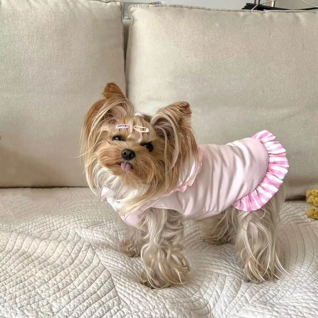 Jersey de lana para perros pequeños – Chaleco térmico de invierno