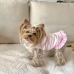 Jersey de lana para perros pequeños – Chaleco térmico de invierno
