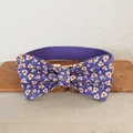 Dog Collar Bow Tie