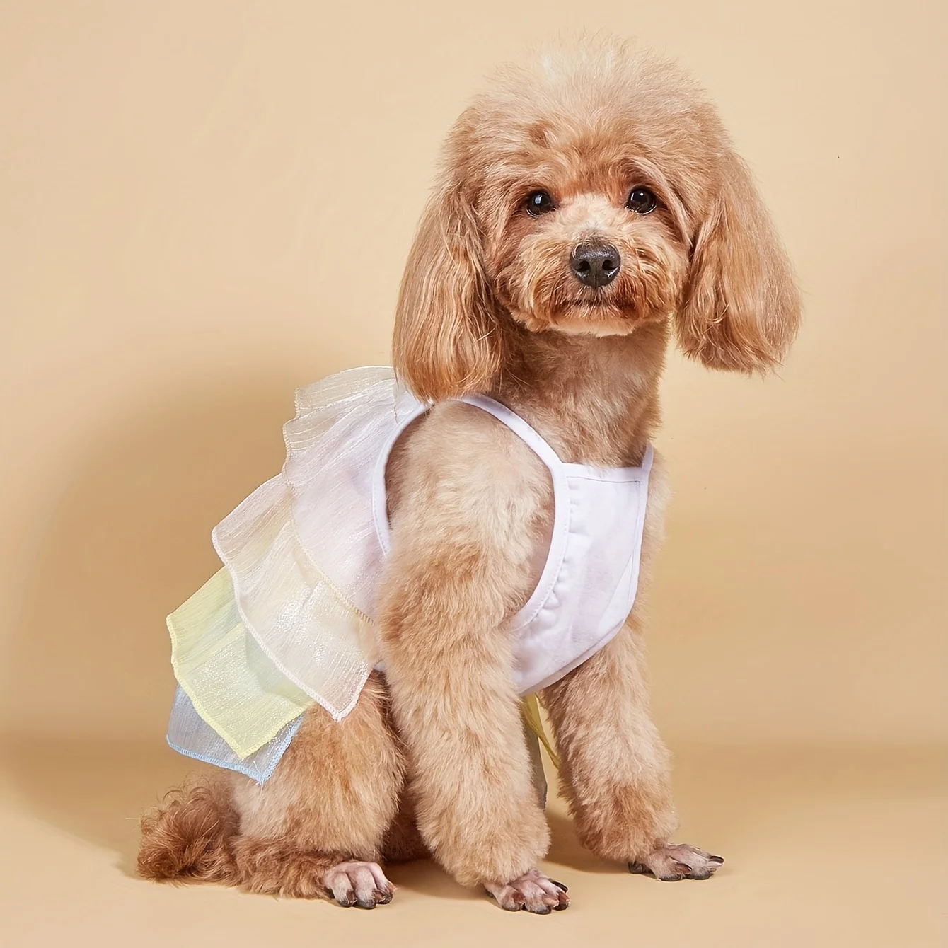 Vestido de verano para cachorros, falda escalonada de tul arcoíris, lindo traje con tirantes para cachorros, ropa de hada para mascotas con lazos, ropa transpirable para perros pequeños - imagen 2