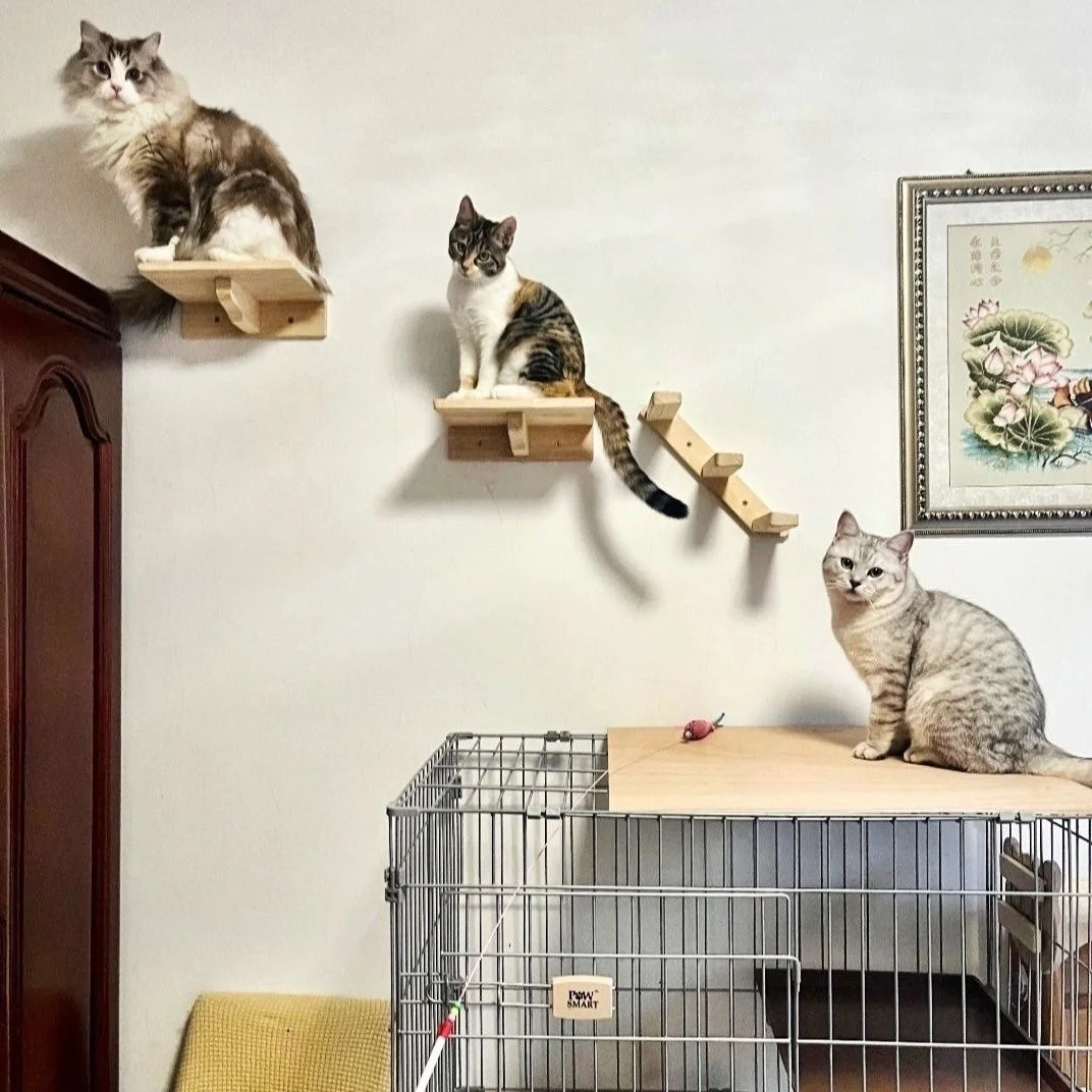 Estante de madera para escalar gatos, estantes para muebles, perchas para gatos, actividad, raspador de árbol para gatos, escaleras, poste rascador, muebles de pared para gatos