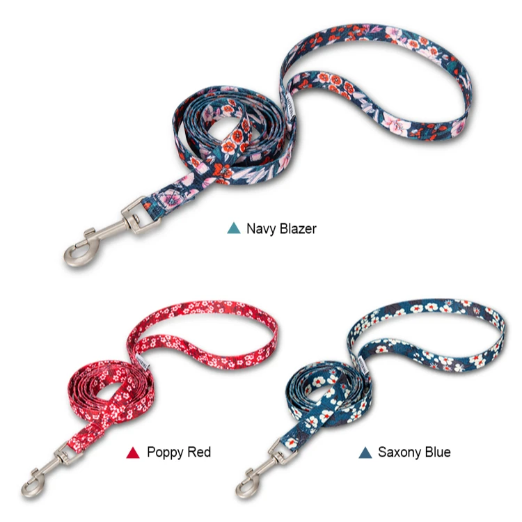 Truelove-Juego de Collar y correa para perro de nailon ajustable, arnés reflectante para mascotas, cuerda de plomo para cachorros y gatos TLC5411 TLL3113 - imagen 2