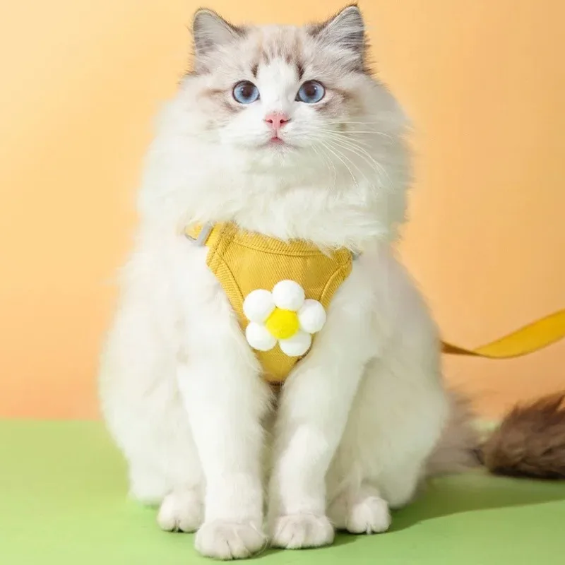 Collar para gatos, productos para perros, arnés para cachorros, chaleco táctico, correa para el pecho, accesorios, suministros para mascotas, collares para perros pequeños, producto para mascotas - imagen 2