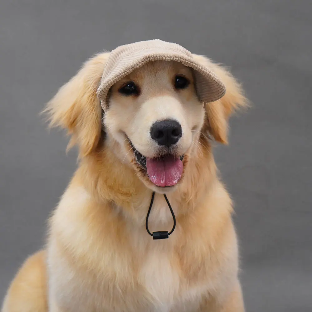 Gorra de béisbol para perro con orejas que fuientan, Labrador de piel dorada, sombrero para mascotas, gorras para perros grandes, productos para mascotas - imagen 2