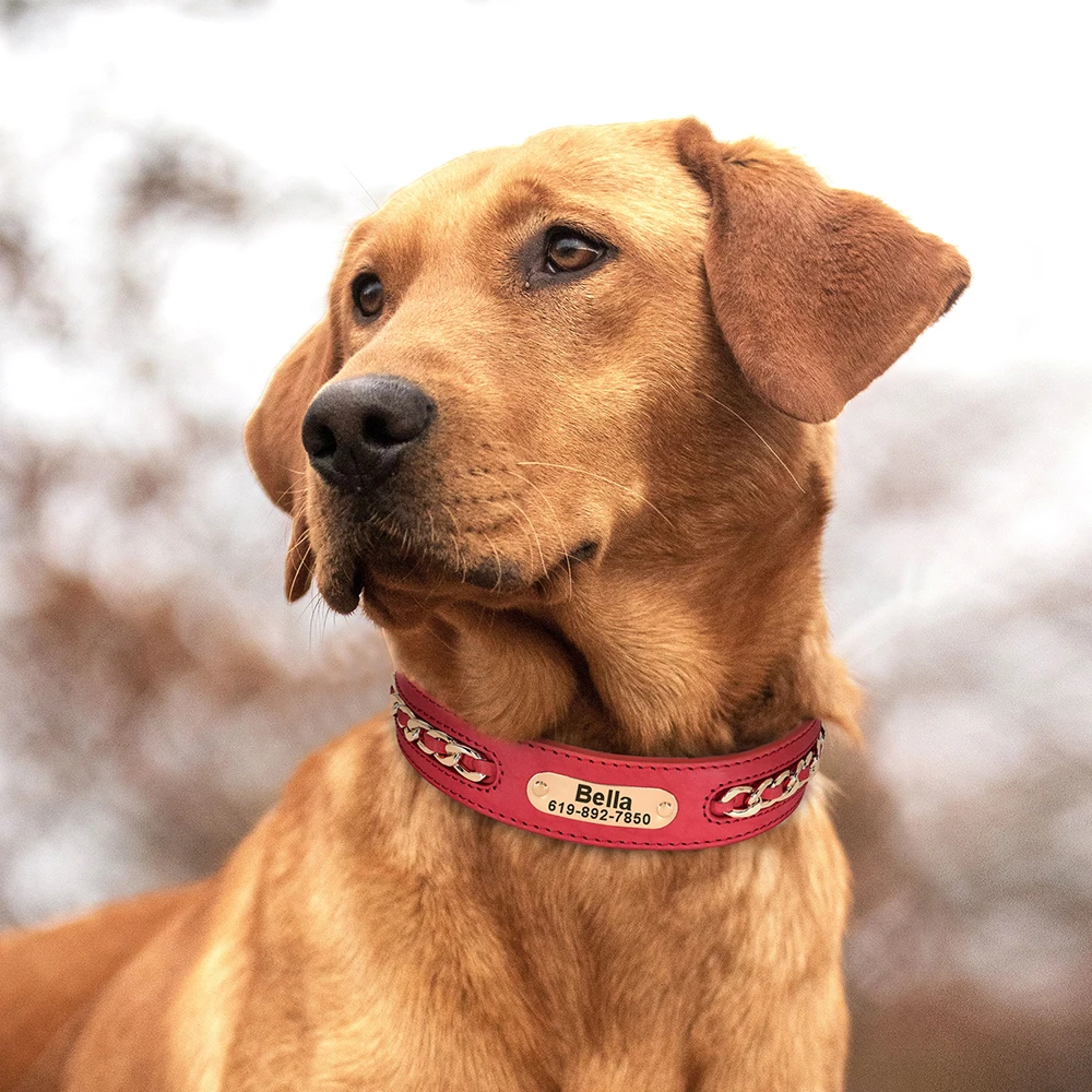 Collar de cuero con placa identificativa para perros - Nombre grabado - imagen 5