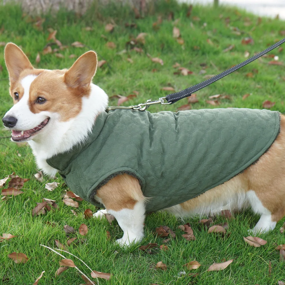 Nueva ropa de algodón para mascotas, ropa de terciopelo para perros de otoño e invierno, ropa cálida para perros pequeños, ropa de Corgi que se puede remolcar, productos para mascotas - imagen 2