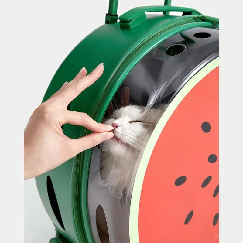 Bolsa de transporte para gatos grandes, ligera, transparente, maleta para mascotas, Burbuja de salida, casa escondite, caja para cochecito, maleta para mascotas - imagen 4