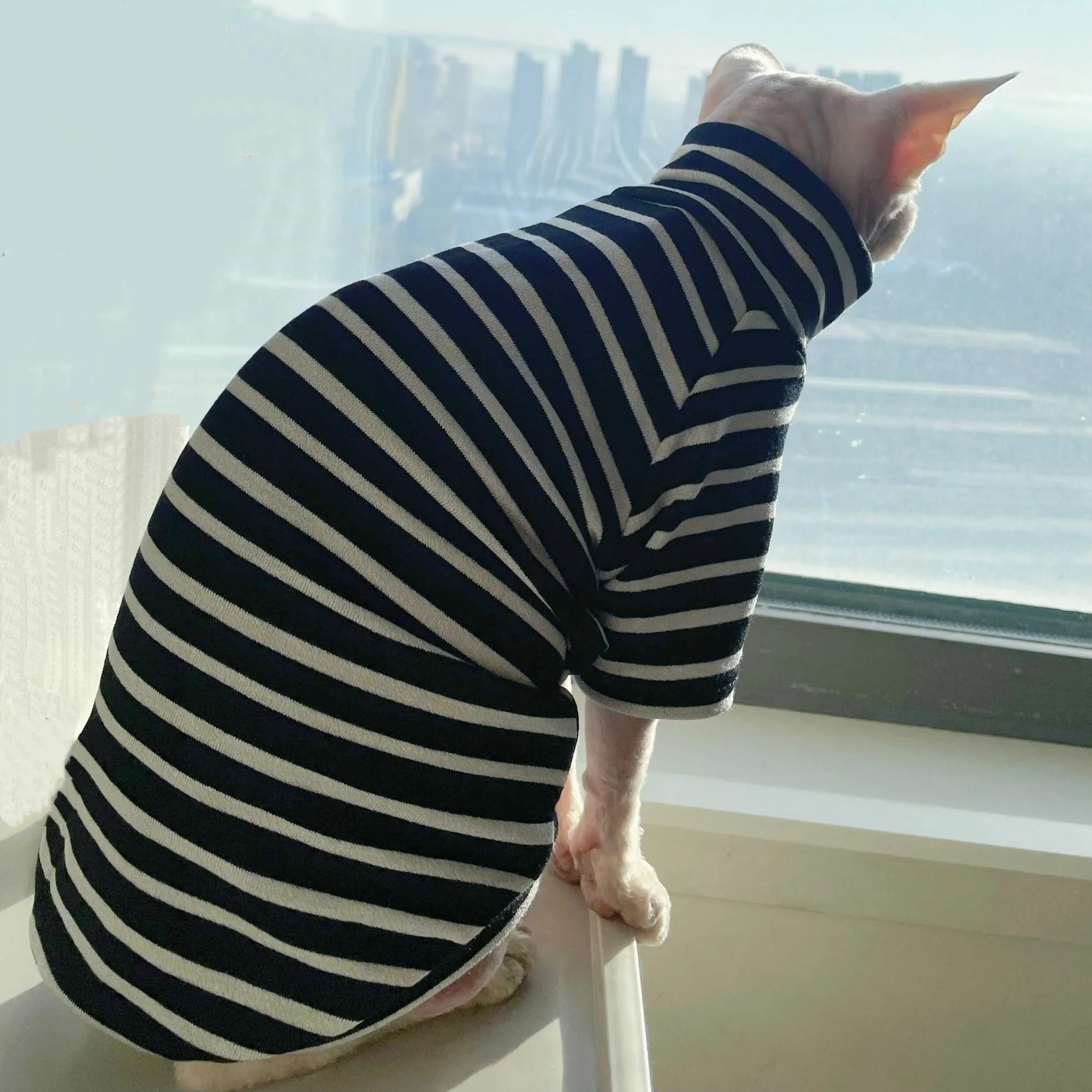 Camiseta de algodón a rayas negras para gato Sphynx, pijamas suaves de cuello alto para gatitos en primavera, abrigo de otoño de manga larga para Devon Rex - imagen 4