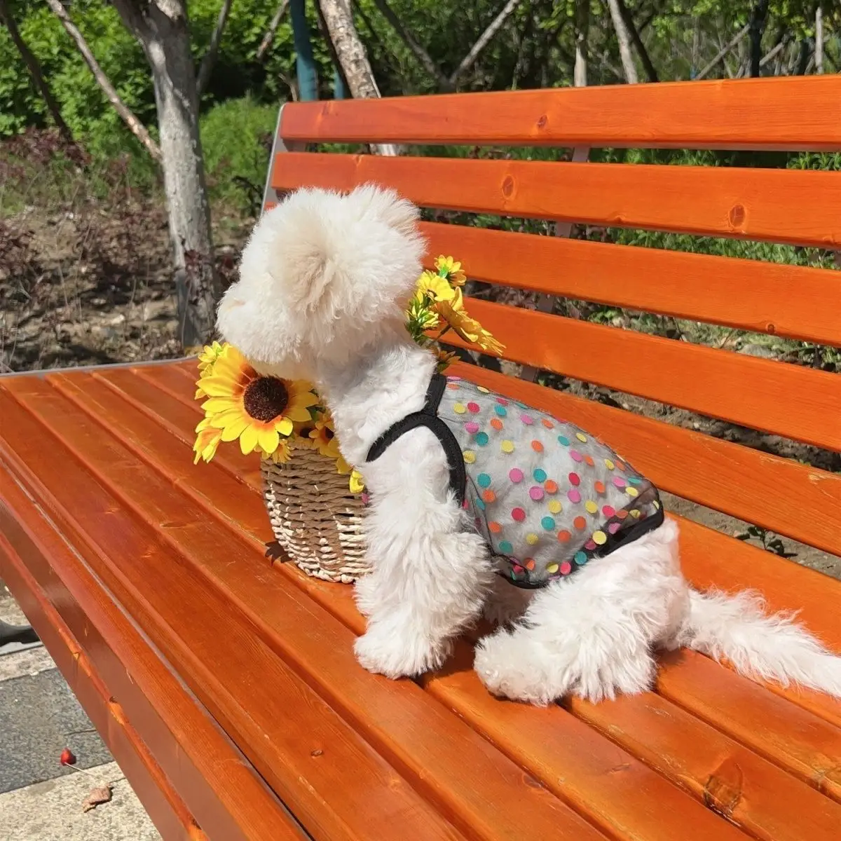Tela de malla de encaje para mascotas, camisola de protección solar para perros malteses, Yorkshire, disfraz para perros, ropa para cachorros y gatos, Verano - imagen 4