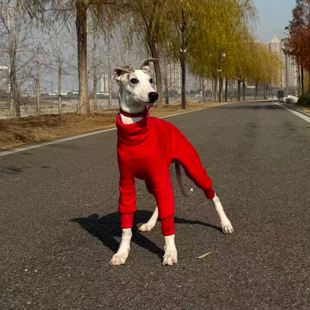 Mono de lana para Galgo Italiano y Whippet – Ropa de Invierno - imagen 3