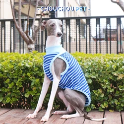 Galgo italiano - Camiseta sin mangas a rayas verde azulado Whippet Sighthound Chaleco de verano para perros