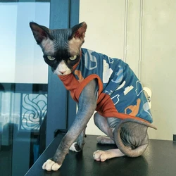 Camisa de algodón azul manga corta para gatos Sphynx y Devon Rex