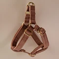 dog harness(Gold)