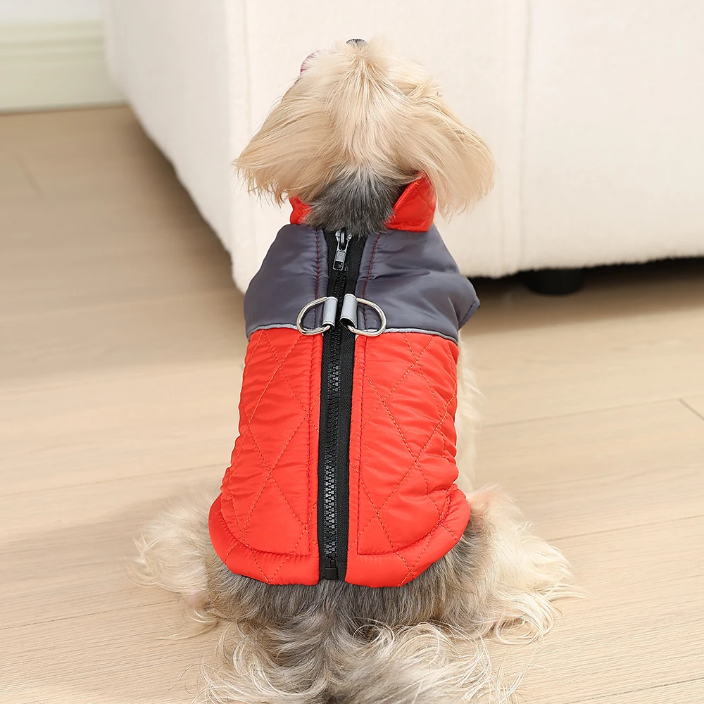Abrigo impermeable para perros pequeños, ropa cálida para mascotas para perros y gatos, chaleco reflectante de seguridad para cachorros, chaqueta, disfraz de Chihuahua y Pug, Otoño e Invierno - imagen 5