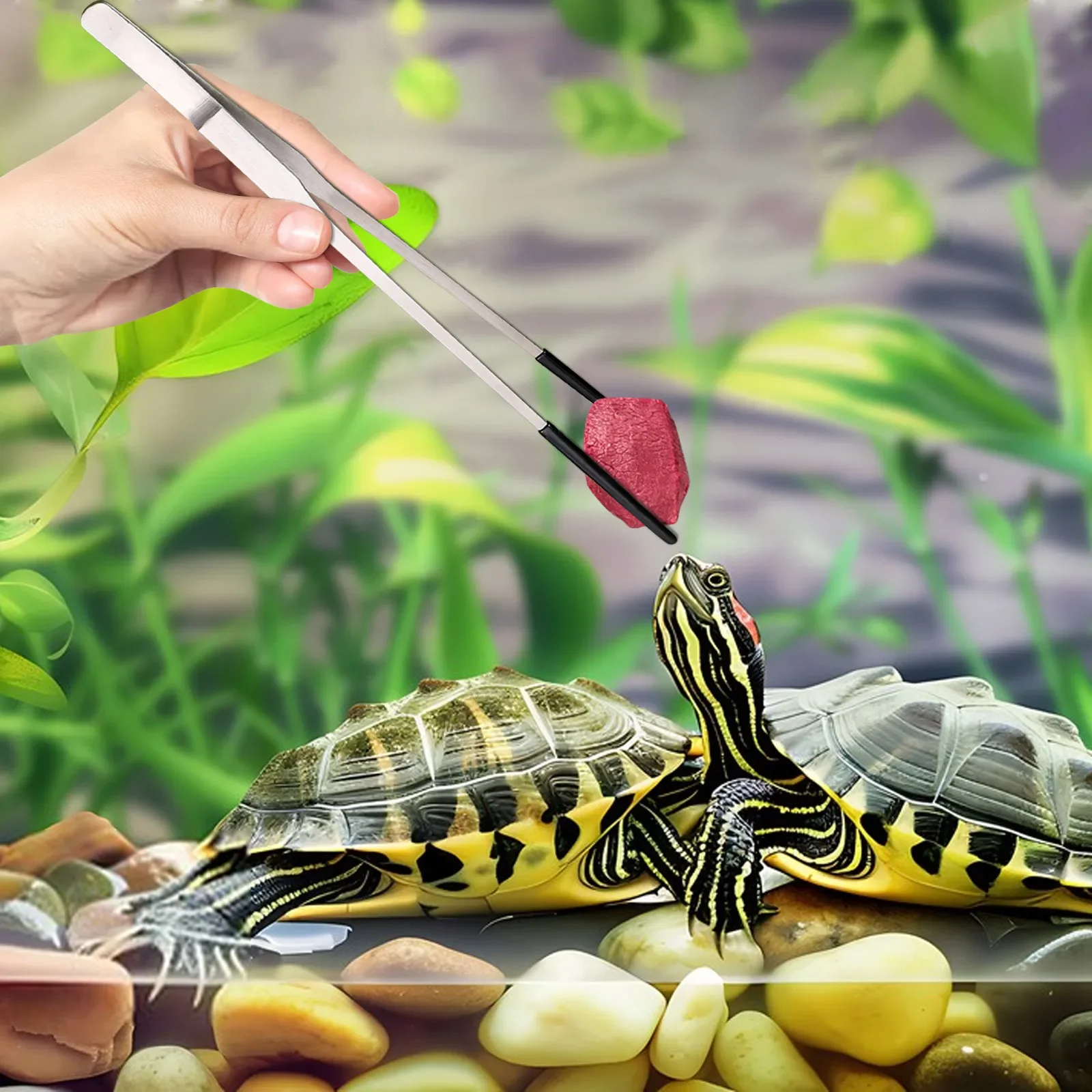 Pinzas inoxidables rectas y punta curva para alimentación de reptiles - imagen 4