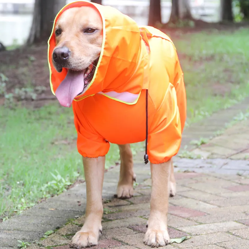 Chubasquero impermeable para perros con capucha - imagen 3
