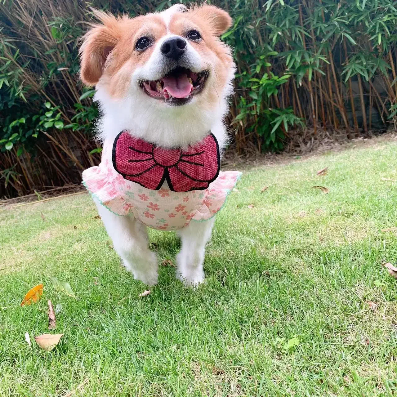 Babero tejido con lazo para mascota, toalla bonita para Saliva, bufanda para gato, accesorios para perros pequeños, trajes para perros - imagen 3