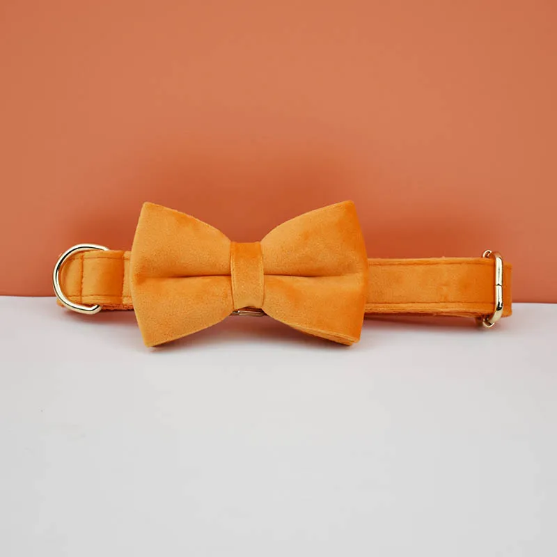 Bow Collar41